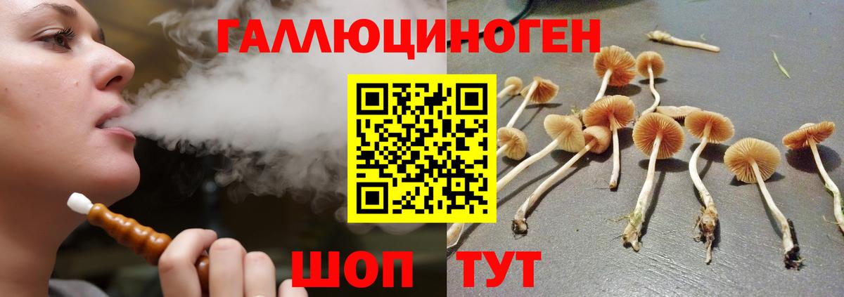 Псилоцибиновые грибы Psilocybine cubensis  цена наркотик  Кулебаки  Вход с VPN 